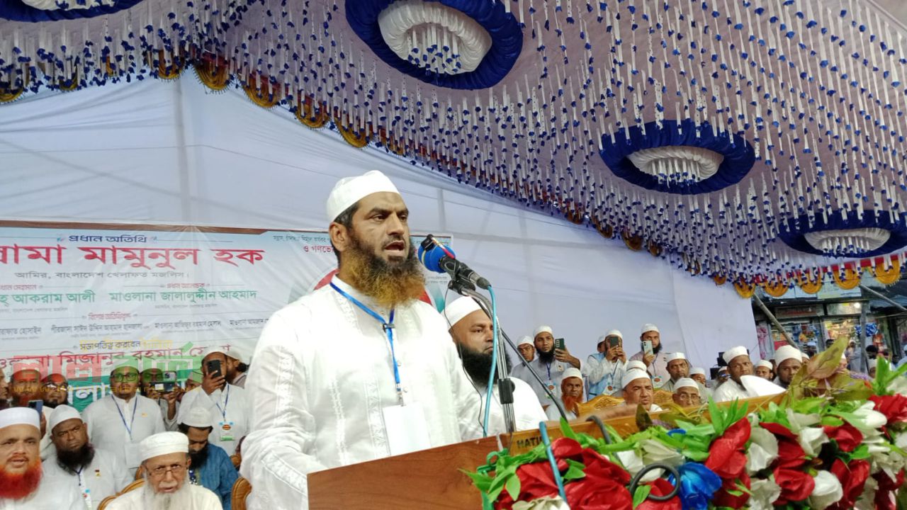 গণভোটকে অবৈধ ঘোষণা করা হলে সরকারের নিজস্ব বৈধতা নিয়েও প্রশ্ন উঠবে - মামুনুল হক