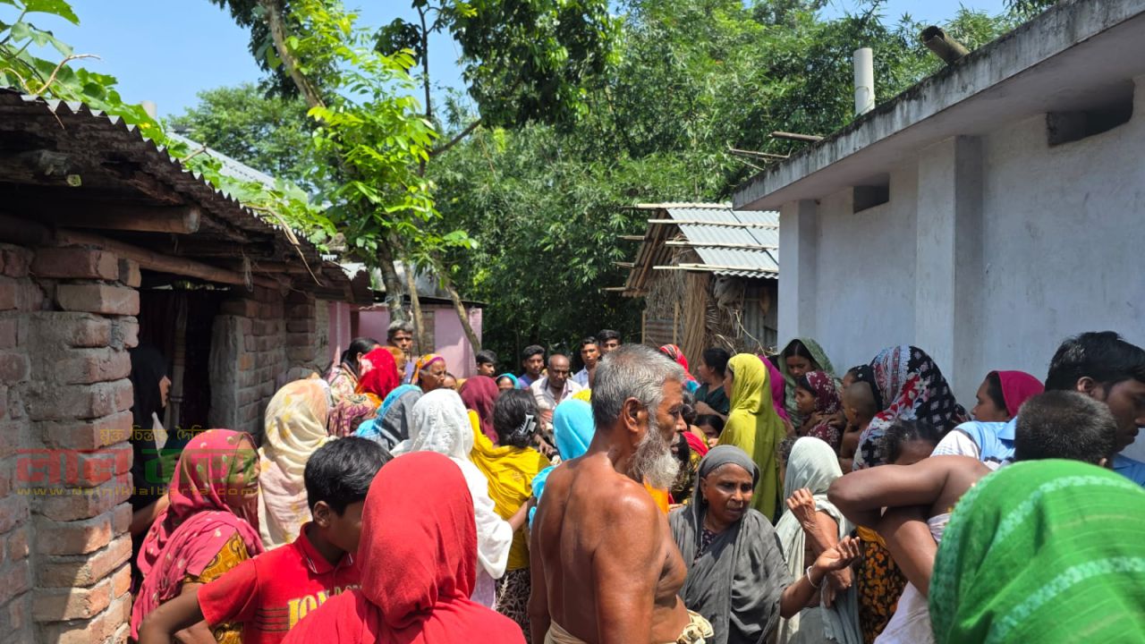 চারঘাটে বিদ্যুৎস্পৃষ্টে শ্বশুর-পুত্রবধূর মর্মান্তিক মৃত্যু