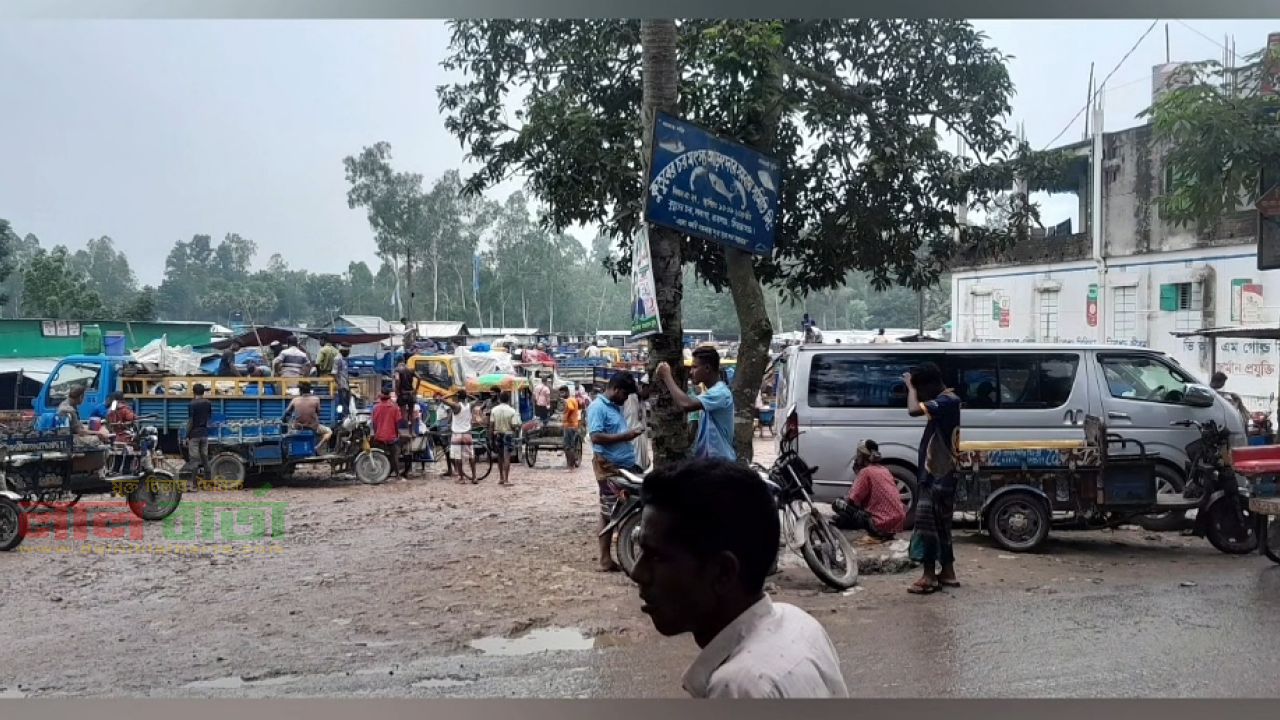 রাজস্ব ফাঁকির অভিযোগ: বহাল তবিয়তে আ.লীগ নেতা পরিচালিত মৎস্য আড়ত