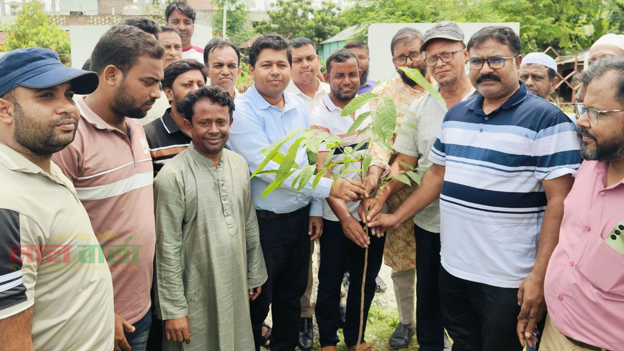 সিংড়ায় বৃক্ষরোপণ কর্মসূচির উদ্বোধন 
