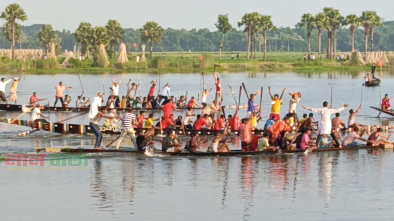 বিলের পাড়ে বইল উৎসবের হাওয়া: ঐতিহ্যবাহী নৌকা বাইচে মানুষের ঢল