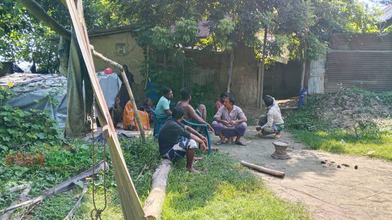 রাত পোহালেই গোয়ালঘর ফাঁকা, রায়গঞ্জে এক রাতে চুরি ৬ গরু