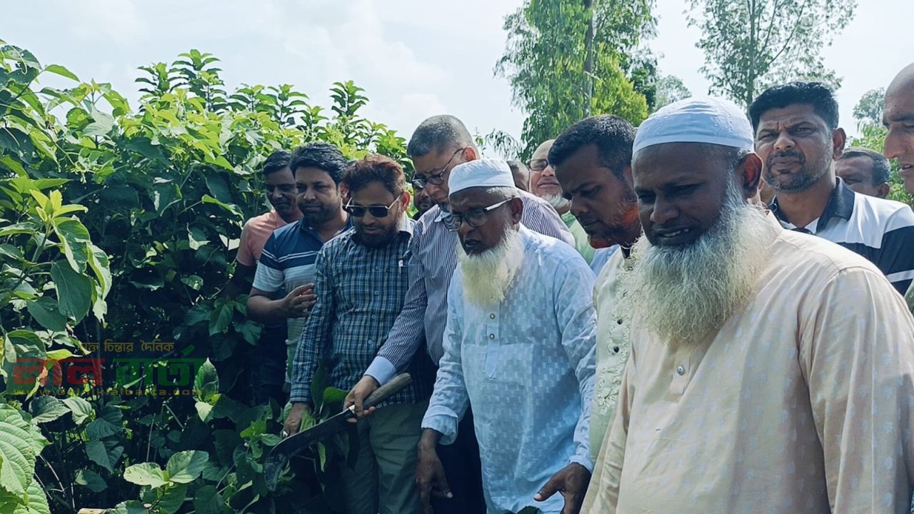 ডেঙ্গু প্রতিরোধে রায়গঞ্জে পরিচ্ছন্নতা অভিযান, উদ্বোধন করলেন এমপি আয়নুল হক