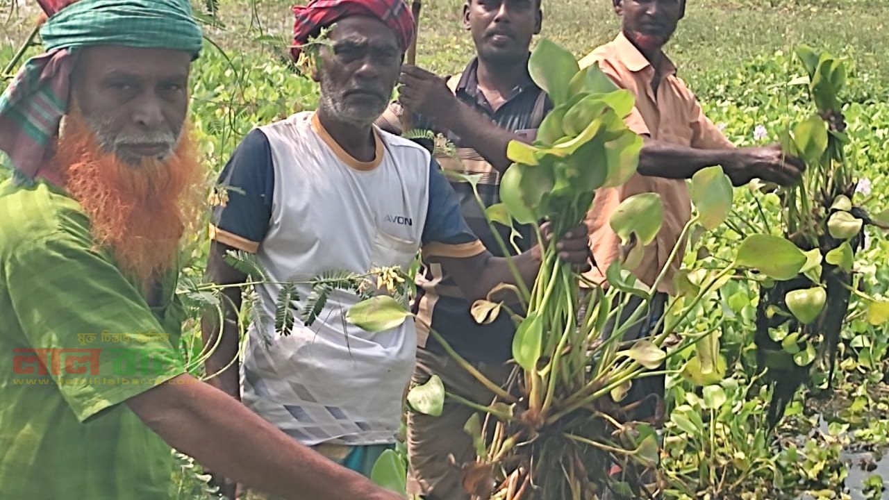 সিংড়ায় ৩০০ একর জমিতে বোরো চাষ অনিশ্চিত 
